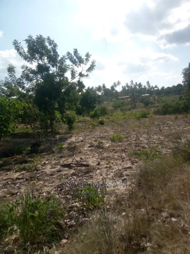 Lindi Mitwero Large Plot for Sale in Lindi