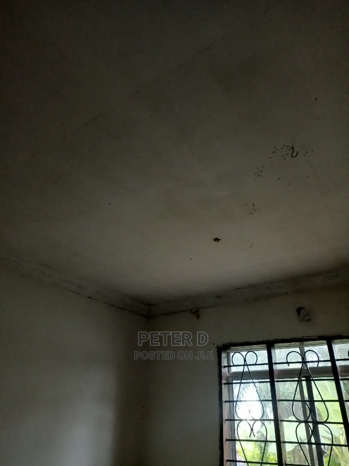 1bdrm Apartment in Kimara for Rent in Kimara