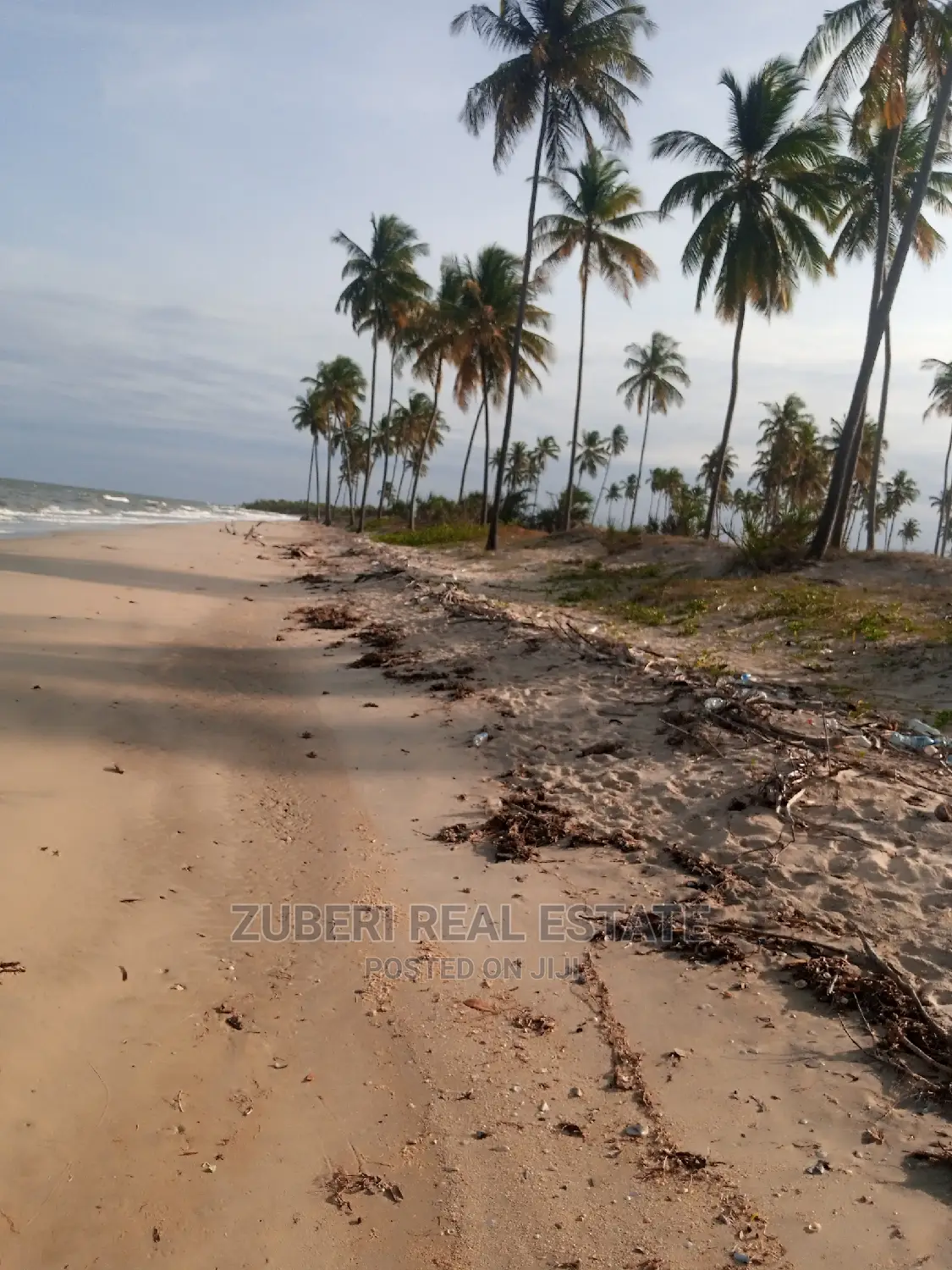 Mafui - Mkwaja Beach Plot for Sale Near Saadani Park. in Mkwaja