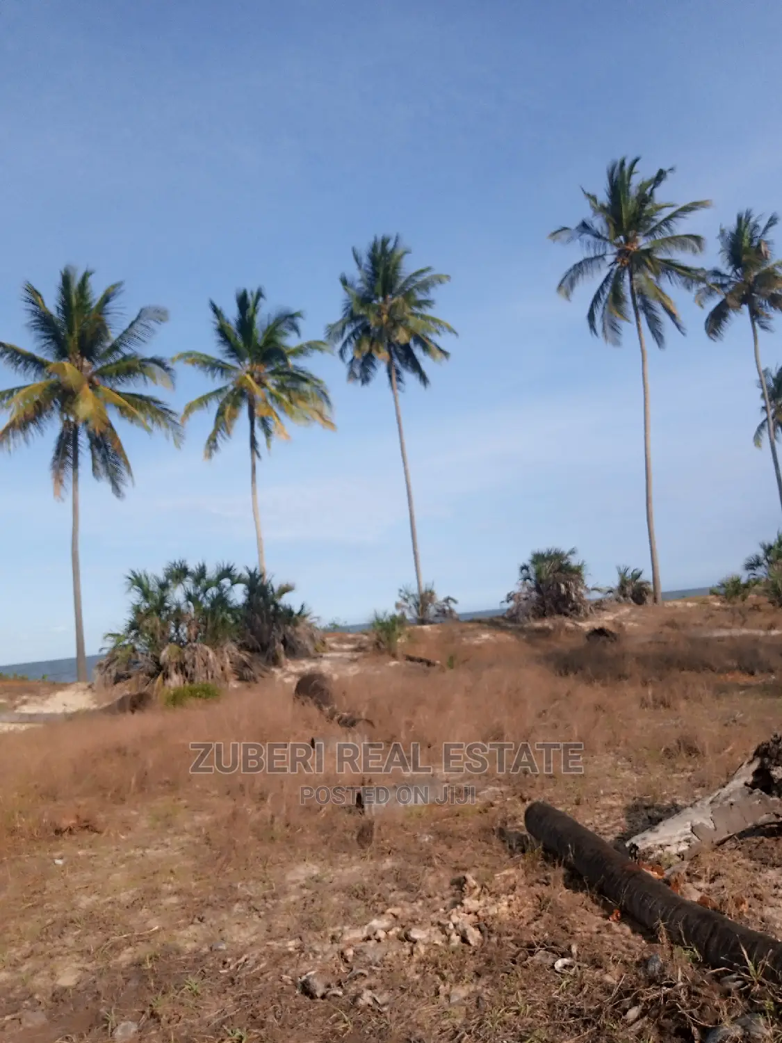 Mafui - Mkwaja Beach Plot for Sale Near Saadani Park. in Mkwaja