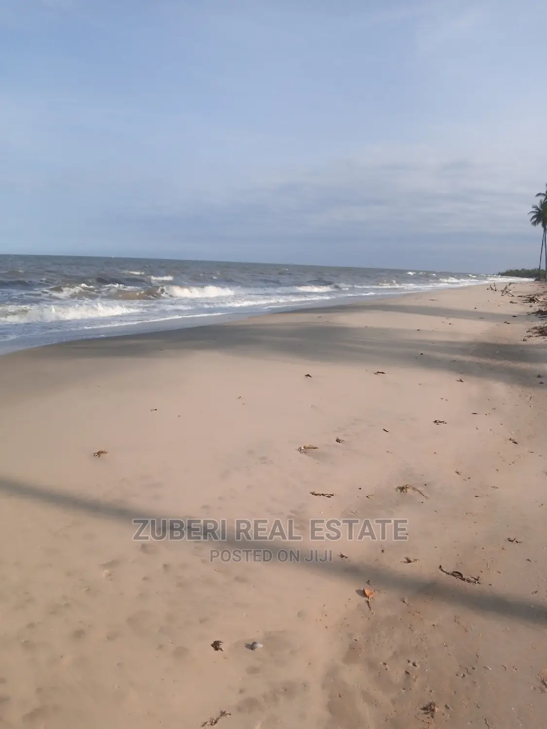 Mafui - Mkwaja Beach Plot for Sale Near Saadani Park. in Mkwaja