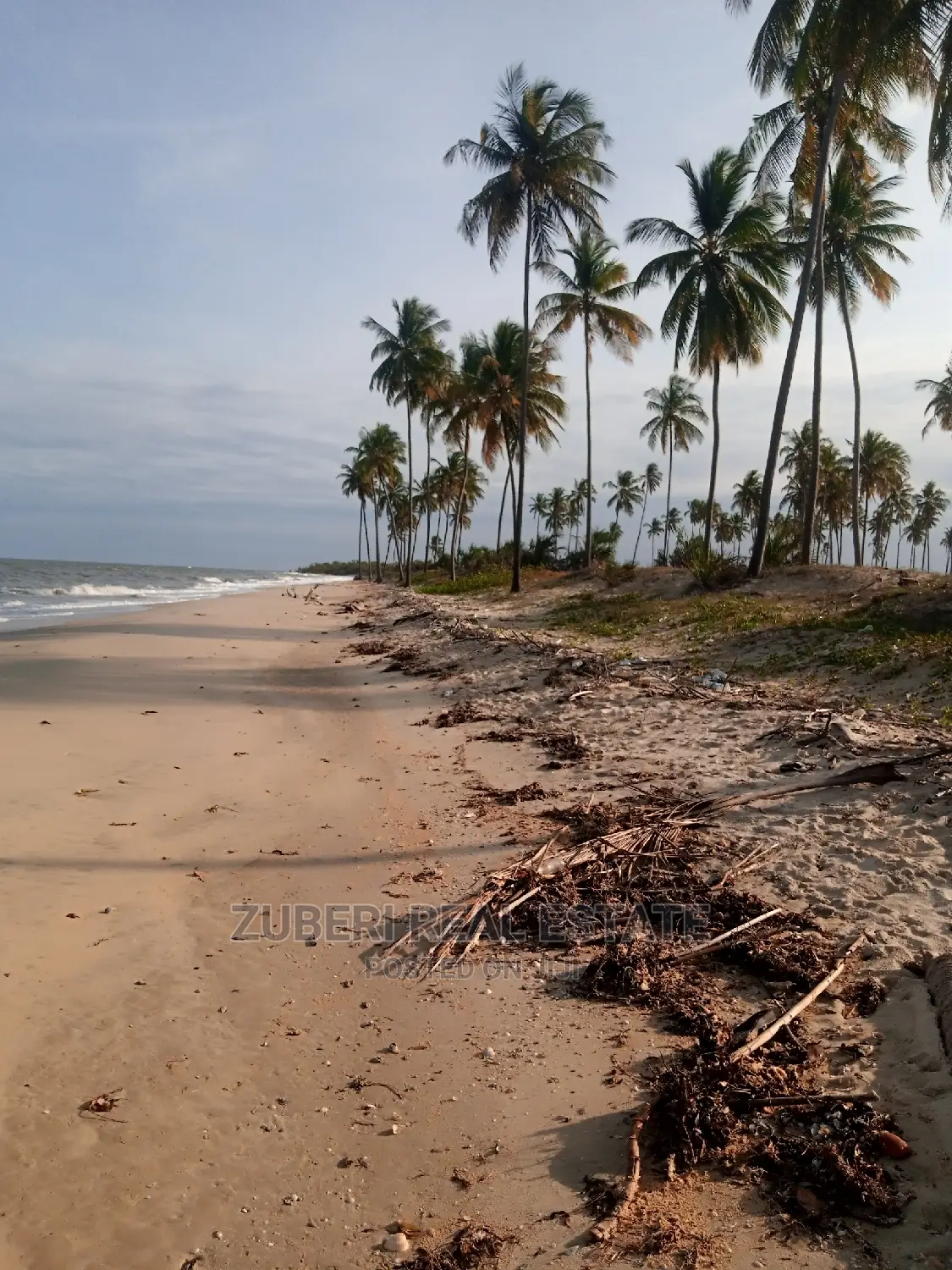 Mafui - Mkwaja Beach Plot for Sale Near Saadani Park. in Mkwaja