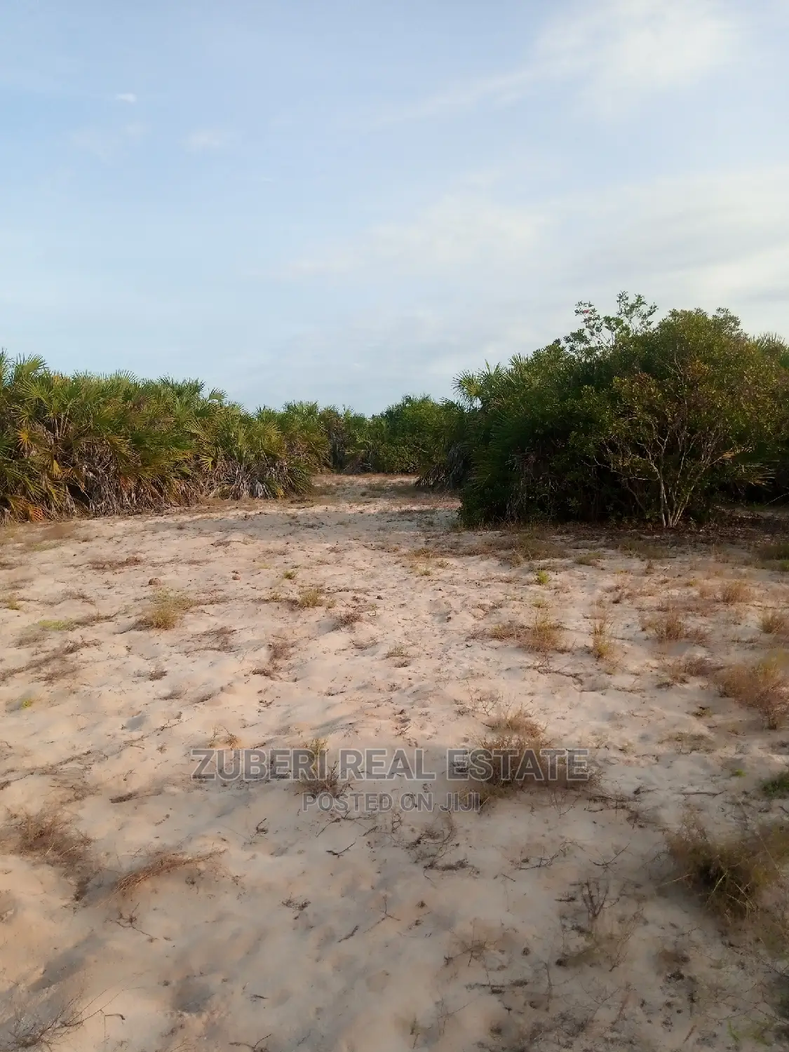 Mafui - Mkwaja Beach Plot for Sale Near Saadani Park. in Mkwaja