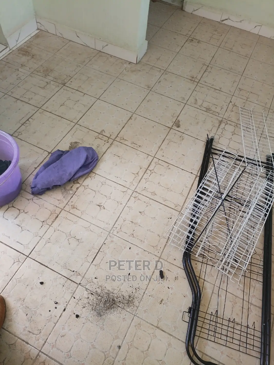 1bdrm Apartment in Kimara for Rent in Kimara