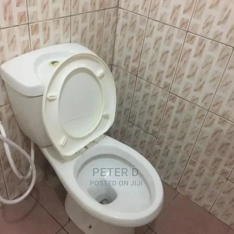 1bdrm Apartment in Kinondoni for Rent in Kinondoni