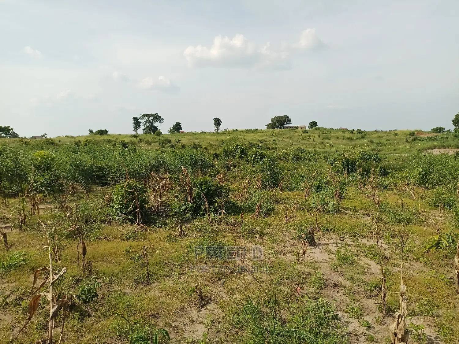 Kibaha Land in Mbezi