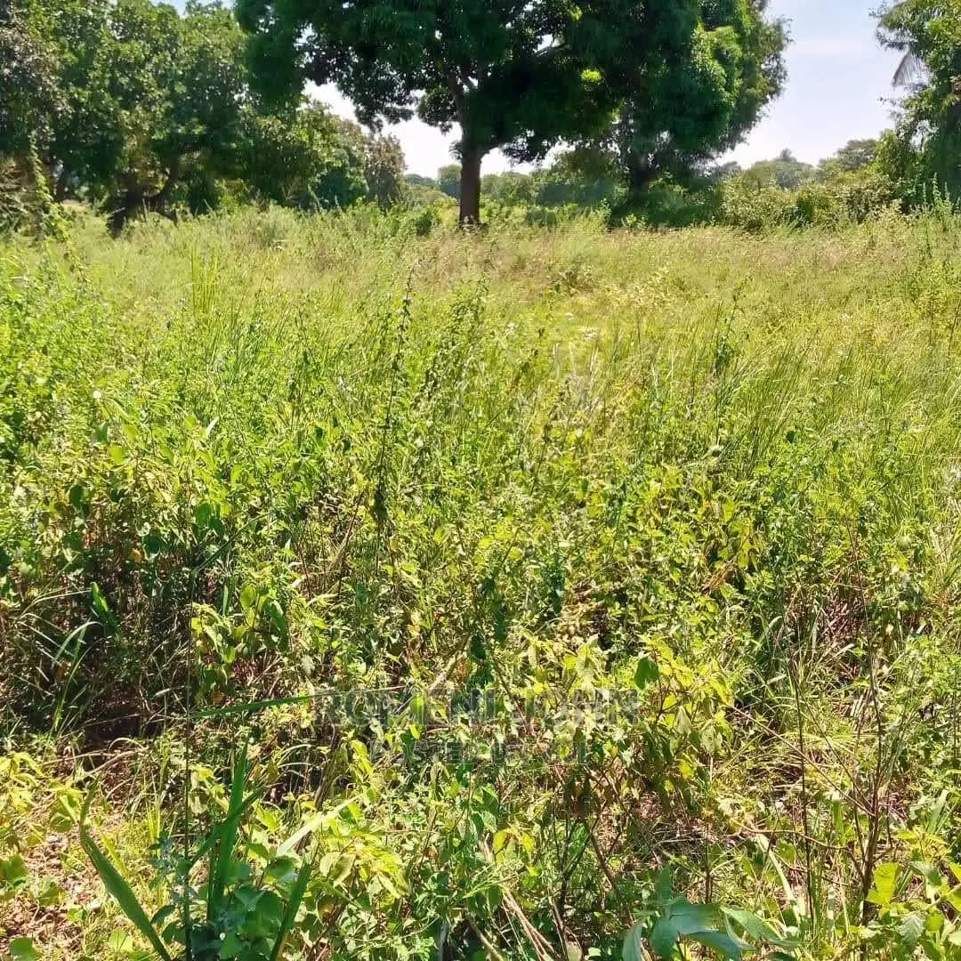 Eneo La Kibiashara Heka 4 Linauzwa Milioni 400 Kibaha Pwani. in Ukonga