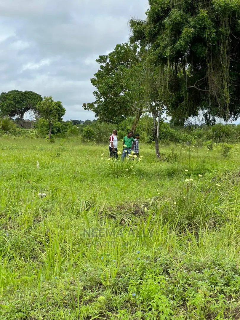 Mbutu Kichangani Karibu Na Bahari  in Kigamboni