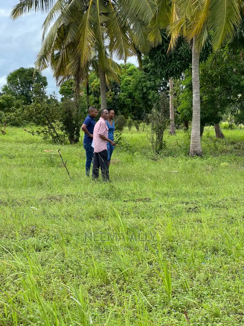 Mbutu Kichangani Karibu Na Bahari  in Kigamboni