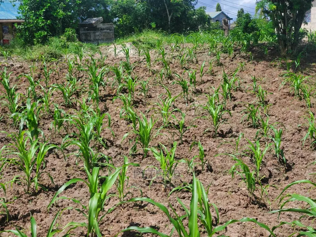 Kiwanja Level in Mbezi