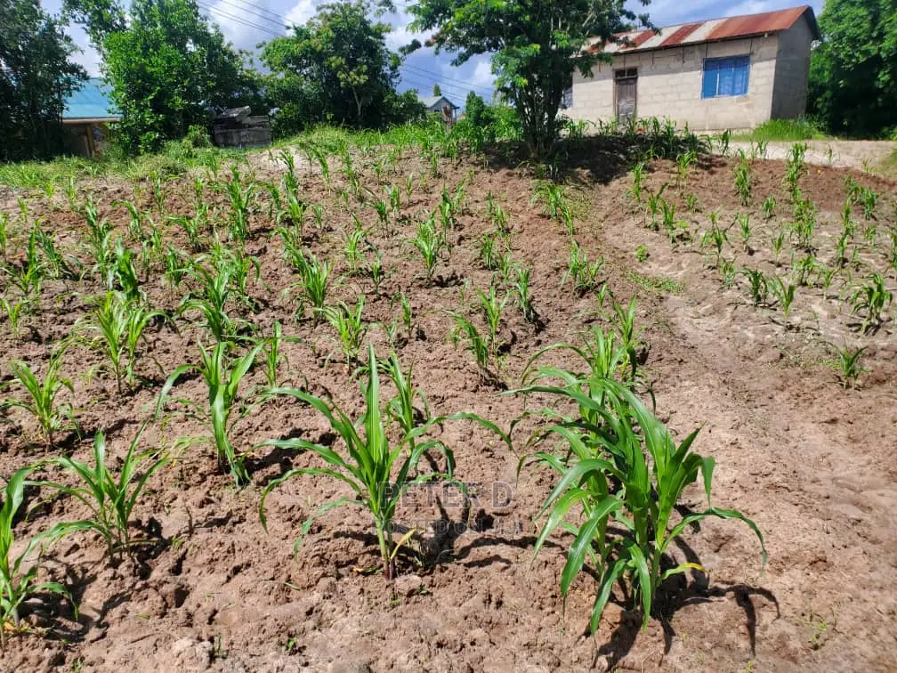 Kiwanja Level in Mbezi