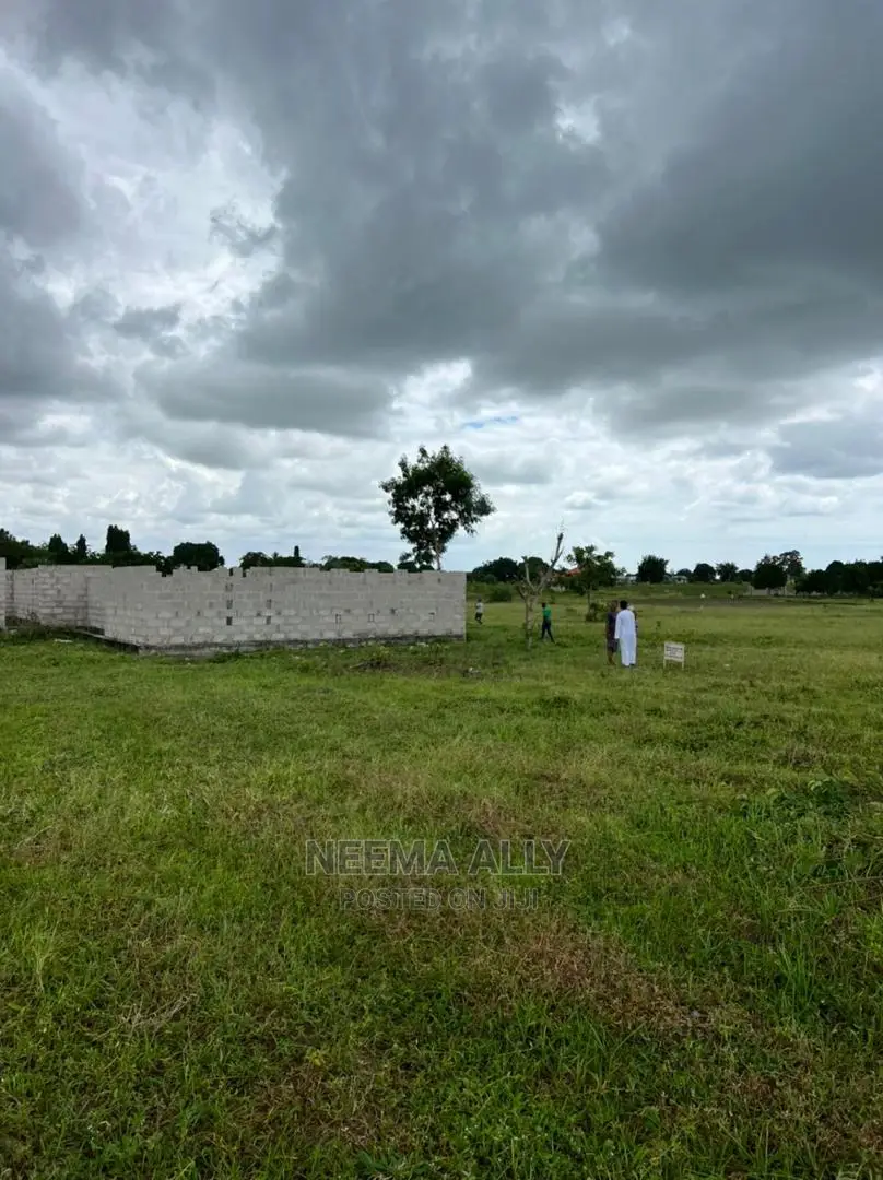 McHikichini Shirikisho in Kigamboni