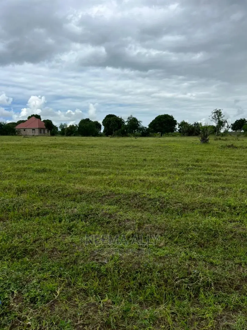 McHikichini Shirikisho in Kigamboni