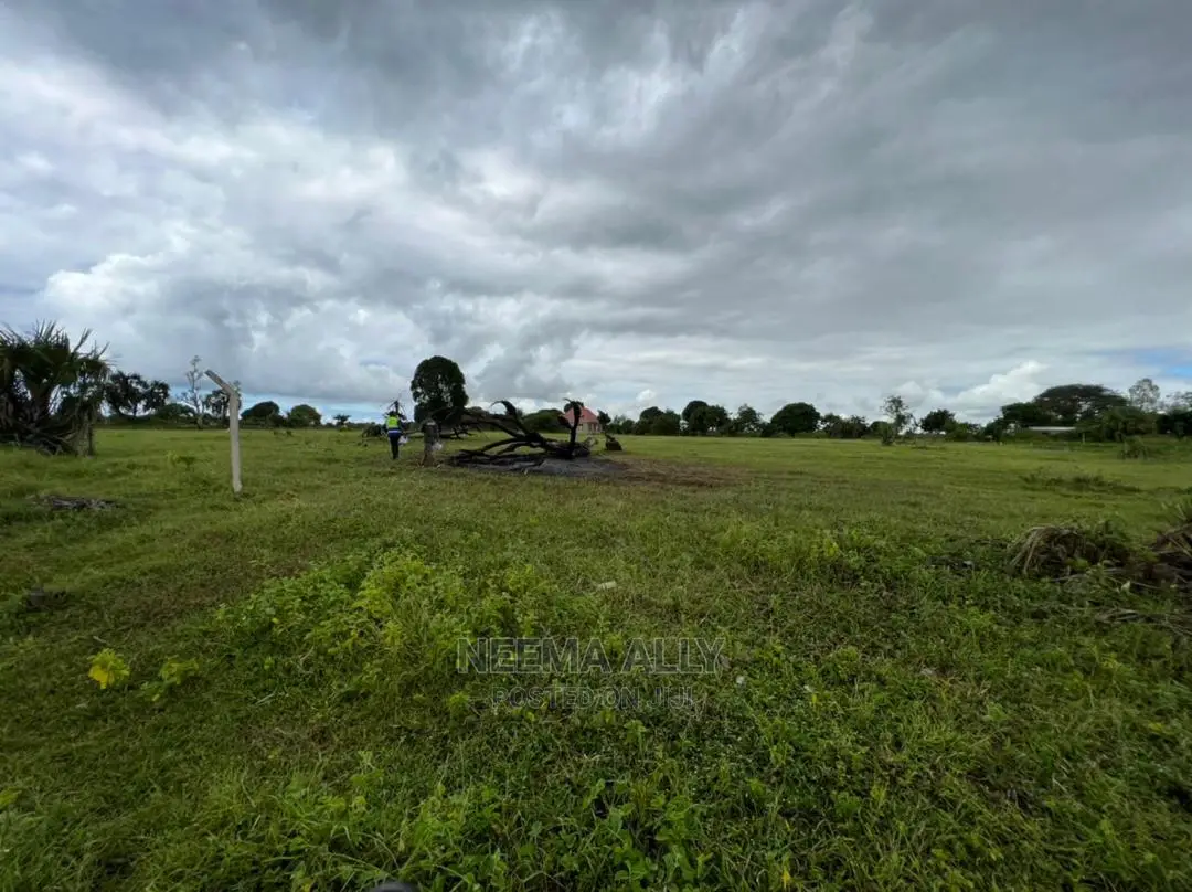Viwanja Vya Kujenga Na Kuhamia in Kigamboni