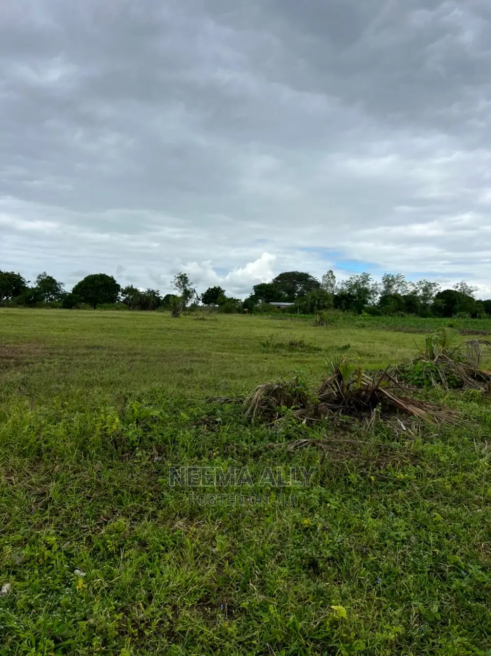 Viwanja Vya Kujenga Na Kuhamia in Kigamboni