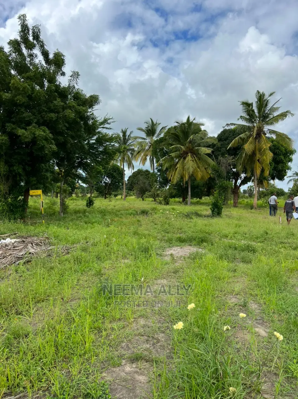 Buyuni Kumenoga in Kigamboni
