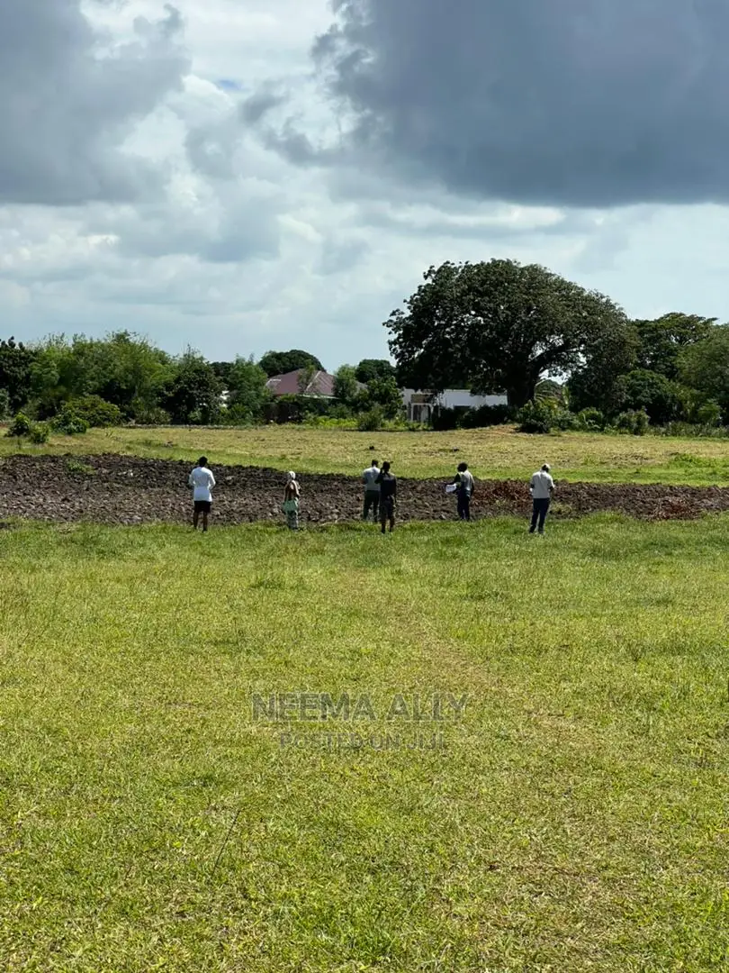 Buyuni Kumenoga in Kigamboni