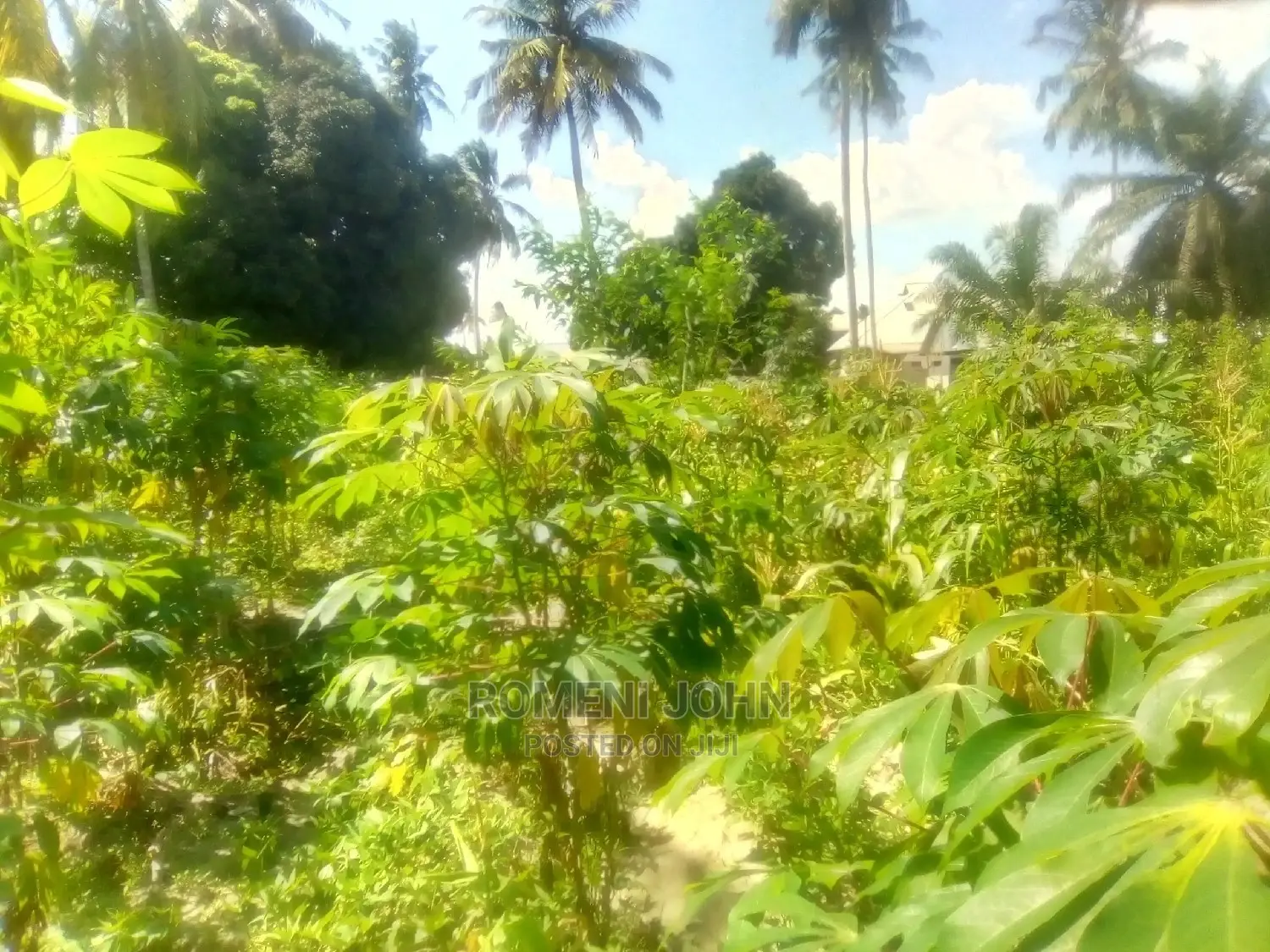Eneo La Kibiashara Heka 1.5 Linauzwa Milioni 165 Chanika. in Ukonga