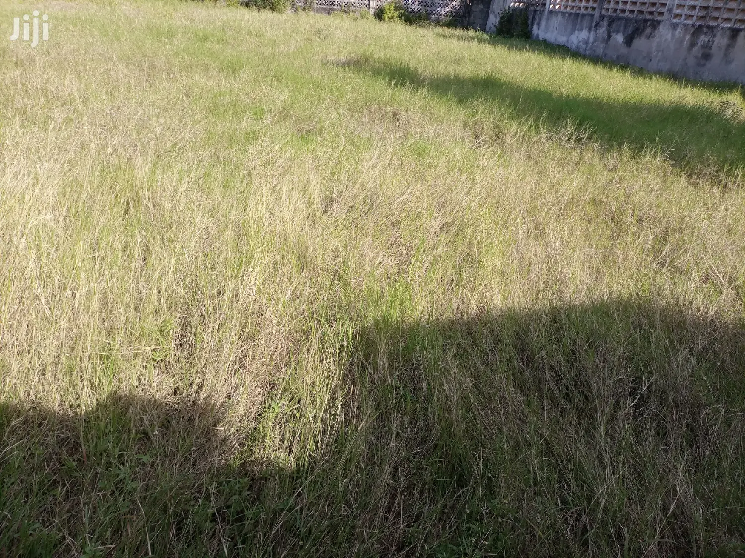 Kiwanja Kipo Ndani Ya Fence Na Geti Lake Eneo La Mikocheni B in Mikocheni