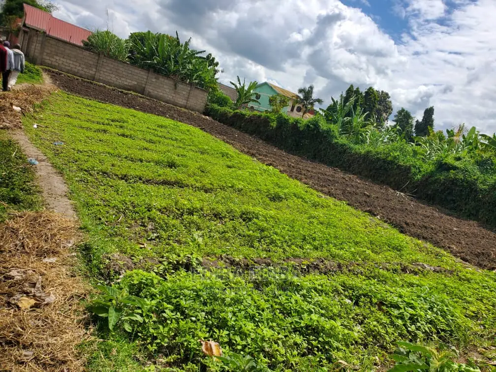 1.5 Acres on Tarmac Road Njiro in Arusha