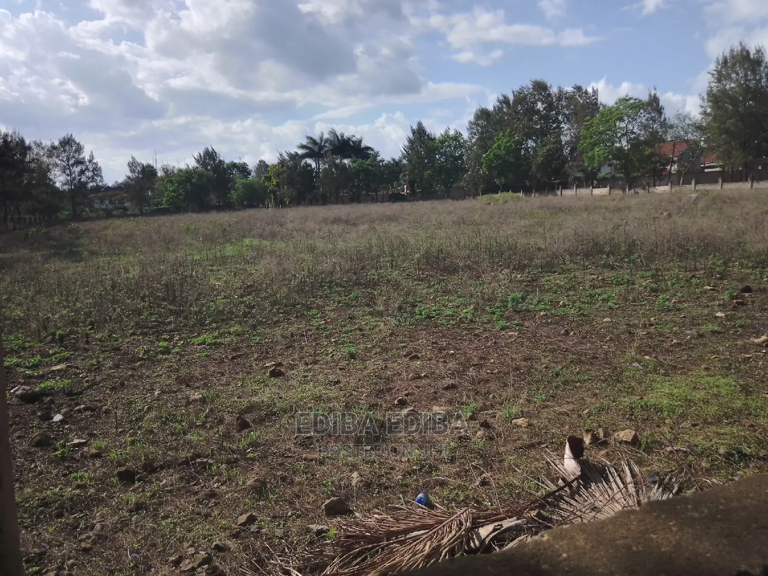 1.5 Acres on Tarmac Road Njiro in Arusha