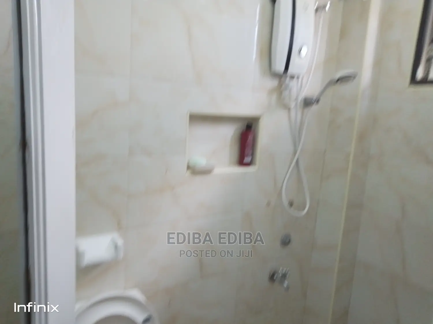 Furnished 4bdrm Apartment in Ediba Real Estate, Arusha for rent in Arusha