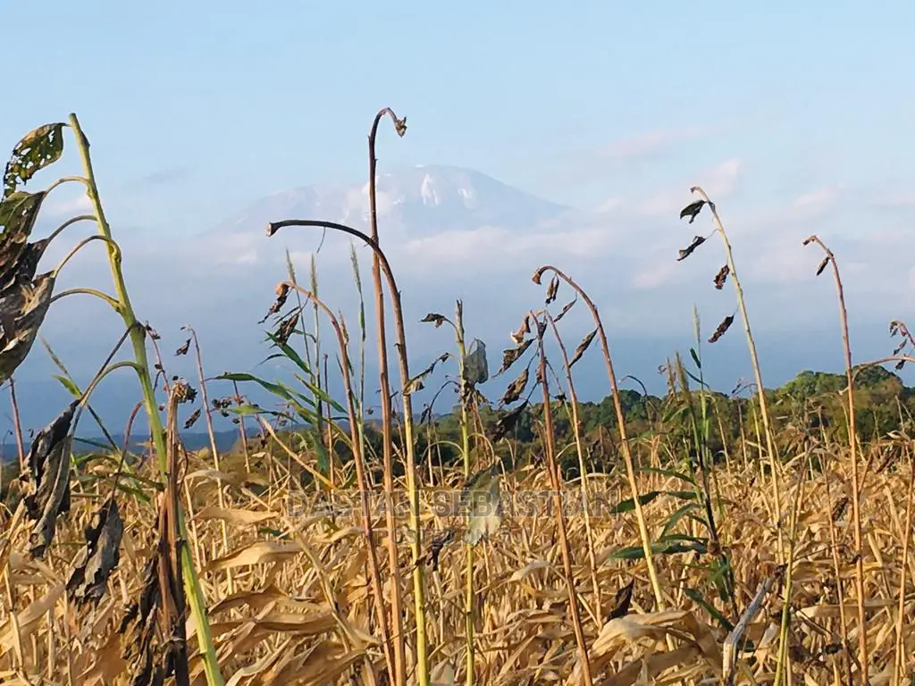 Arusha Na Kilimanjaro in Arusha