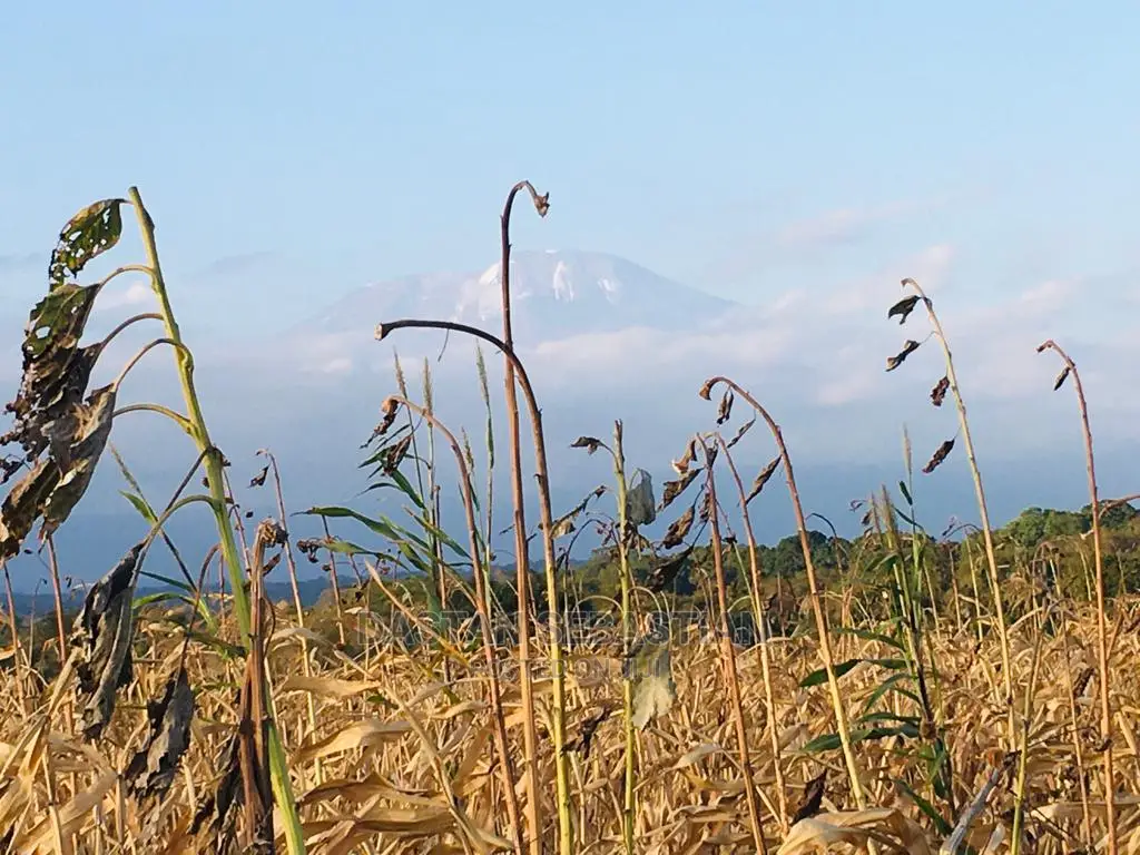 Arusha Na Kilimanjaro in Arusha
