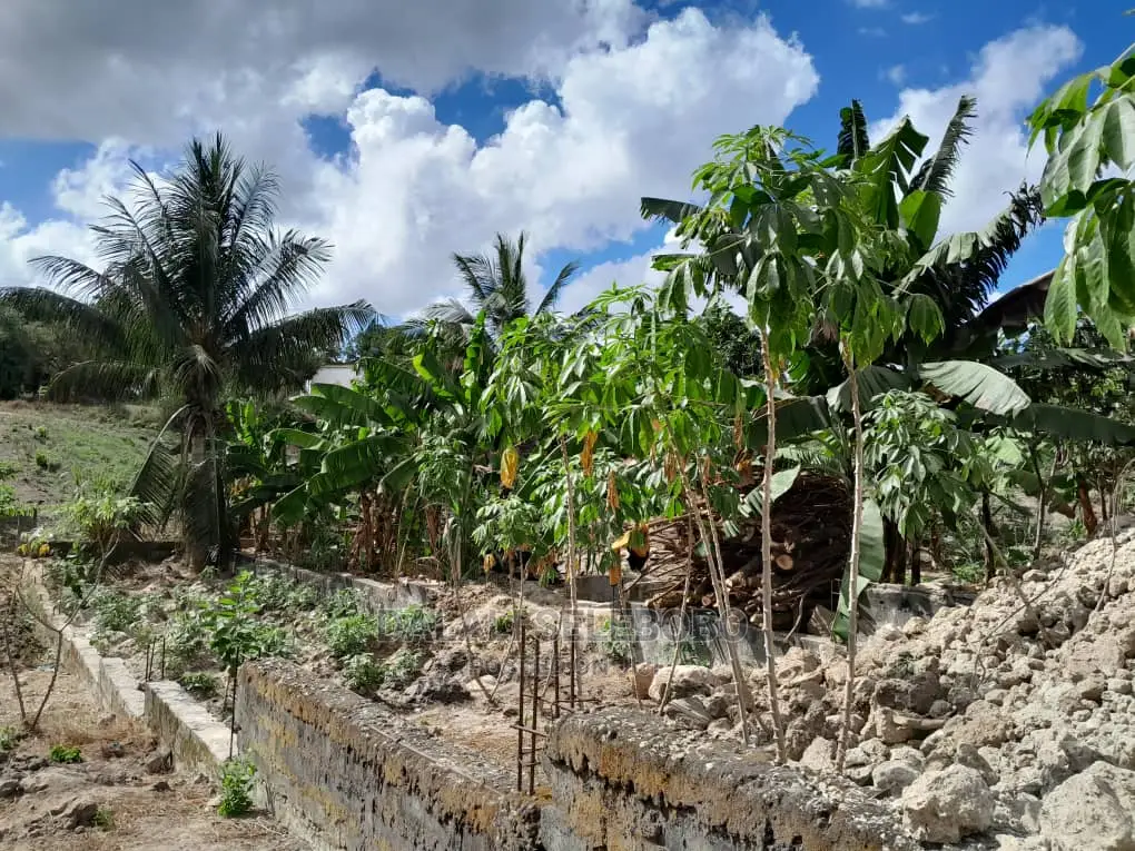 Plot Inatizama Lami at Kinyerezi in Kinyerezi