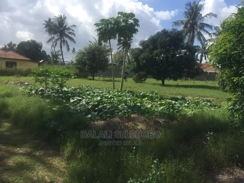3bdrm House in Tabata Chama for sale in Tabata