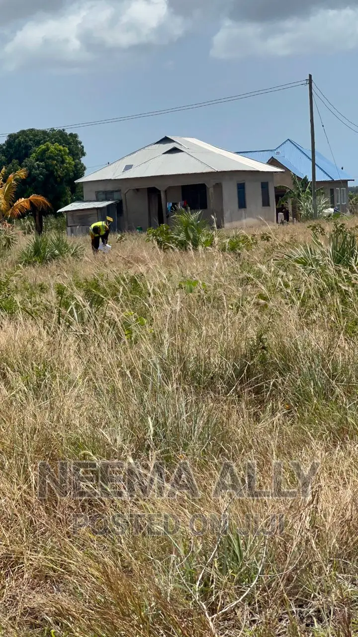 Kigamboni Cheka in Kigamboni