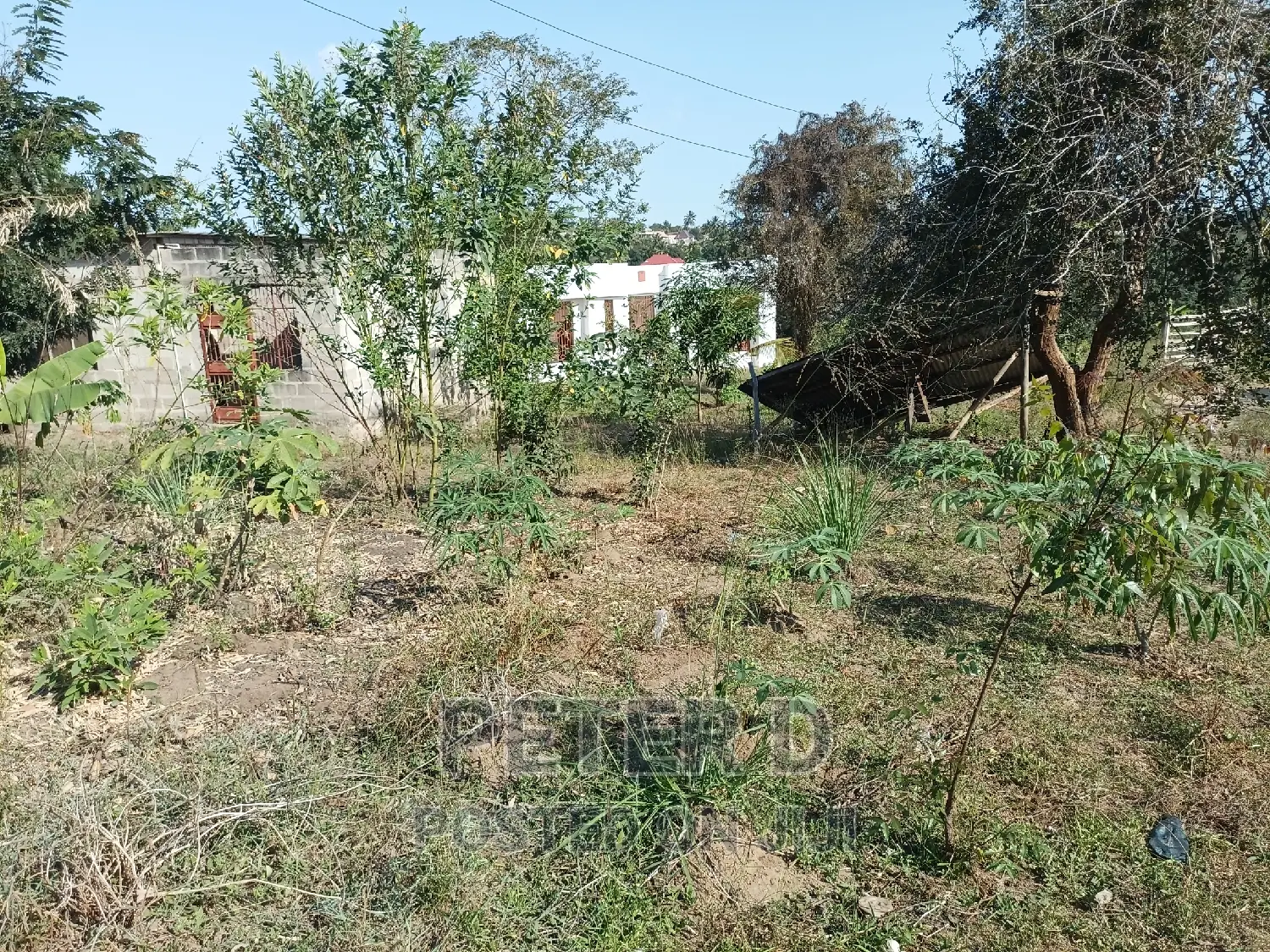 Tambarale Sana in Mbezi