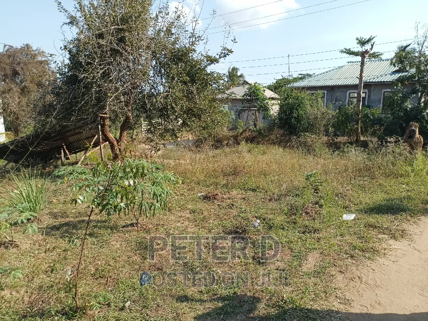 Tambarale Sana in Mbezi