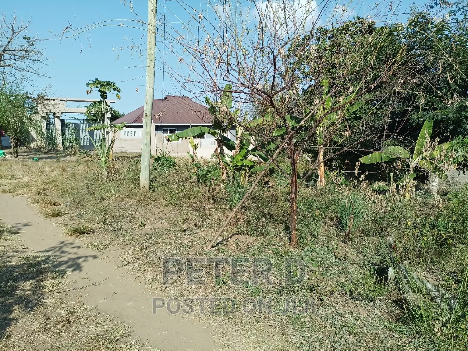 Tambarale Sana in Mbezi