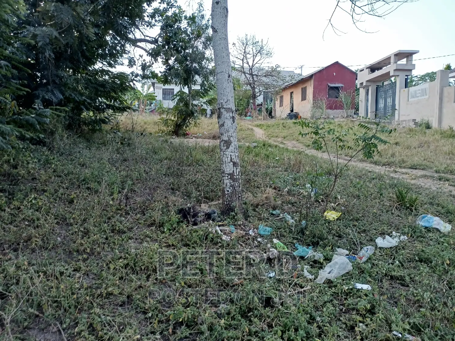 Tambarale Sana in Mbezi