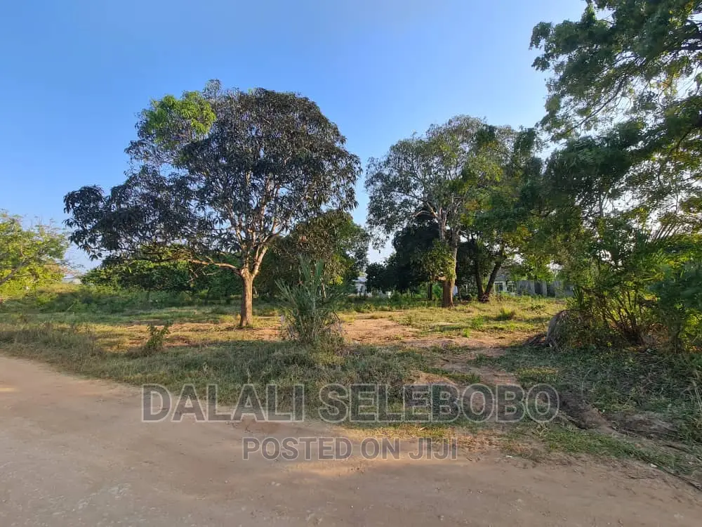 Beach Plot at Kigamboni Mwongozo in Ilala