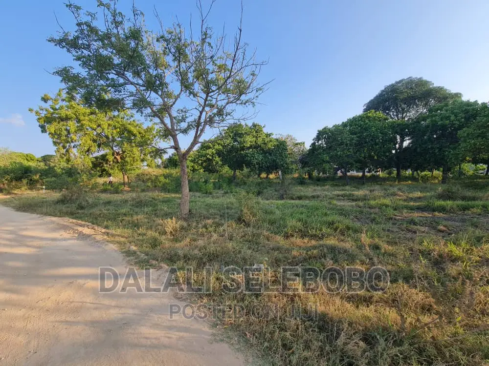 Beach Plot at Kigamboni Mwongozo in Ilala