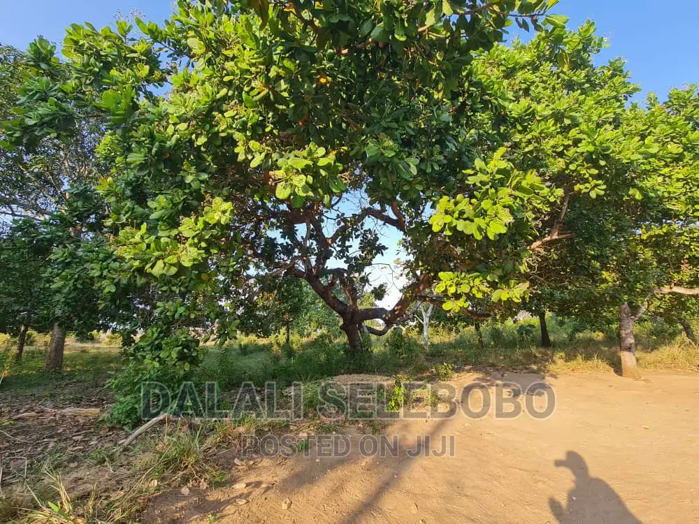 Beach Plot at Kigamboni Mwongozo in Ilala