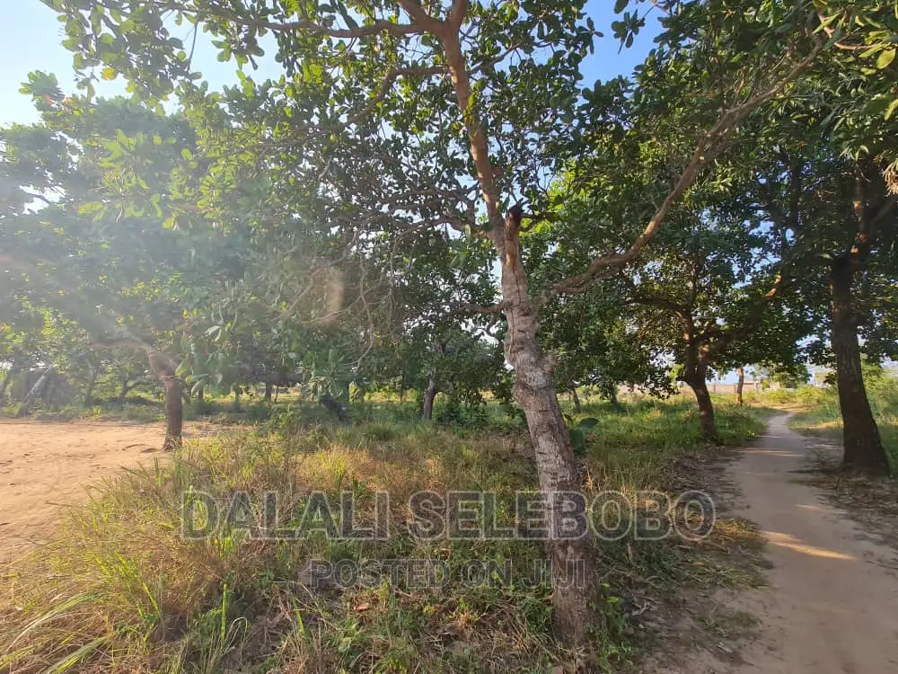 Beach Plot at Kigamboni Mwongozo in Ilala