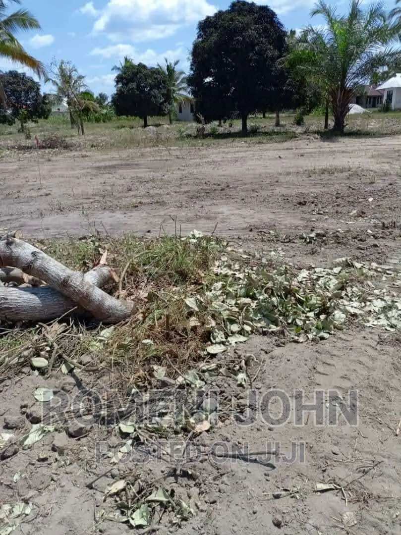 Viwanja Vinauzwa Ml 3.5 Chanika Masantura. in Ukonga