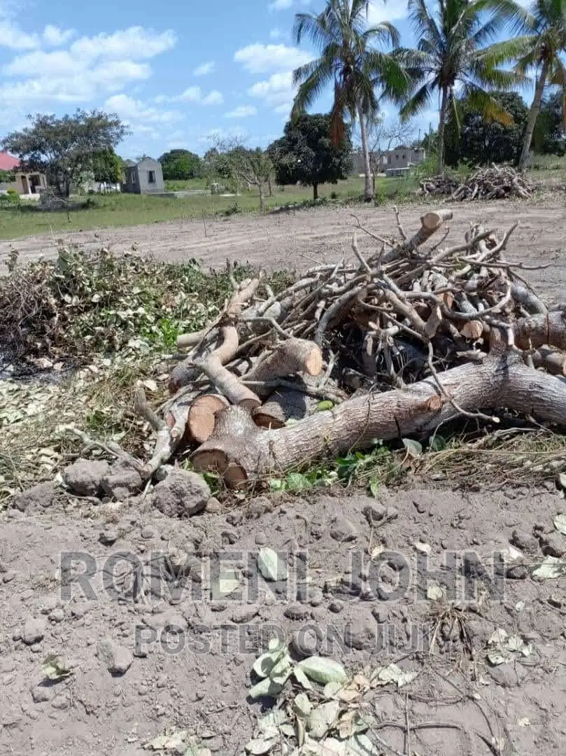 Viwanja Vinauzwa Ml 3.5 Chanika Masantura. in Ukonga