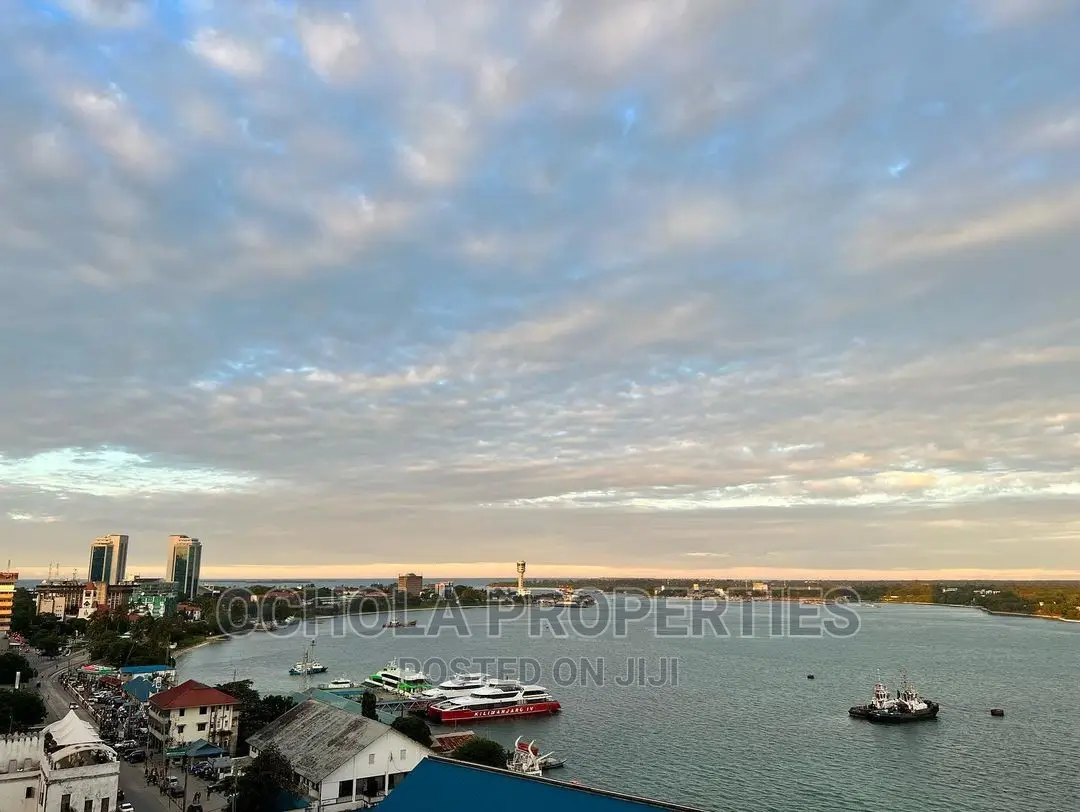 Furnished 3bdrm Apartment in Upanga East for rent in Upanga East