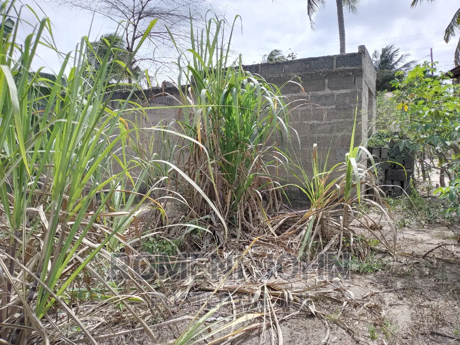 Eneo Sqmita 500 La Kibiashara Linauzwa Mil 18.5 Majohe Rada. in Ilala