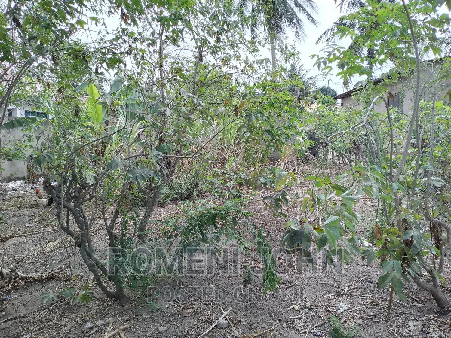 Eneo Sqmita 500 La Kibiashara Linauzwa Mil 18.5 Majohe Rada. in Ilala