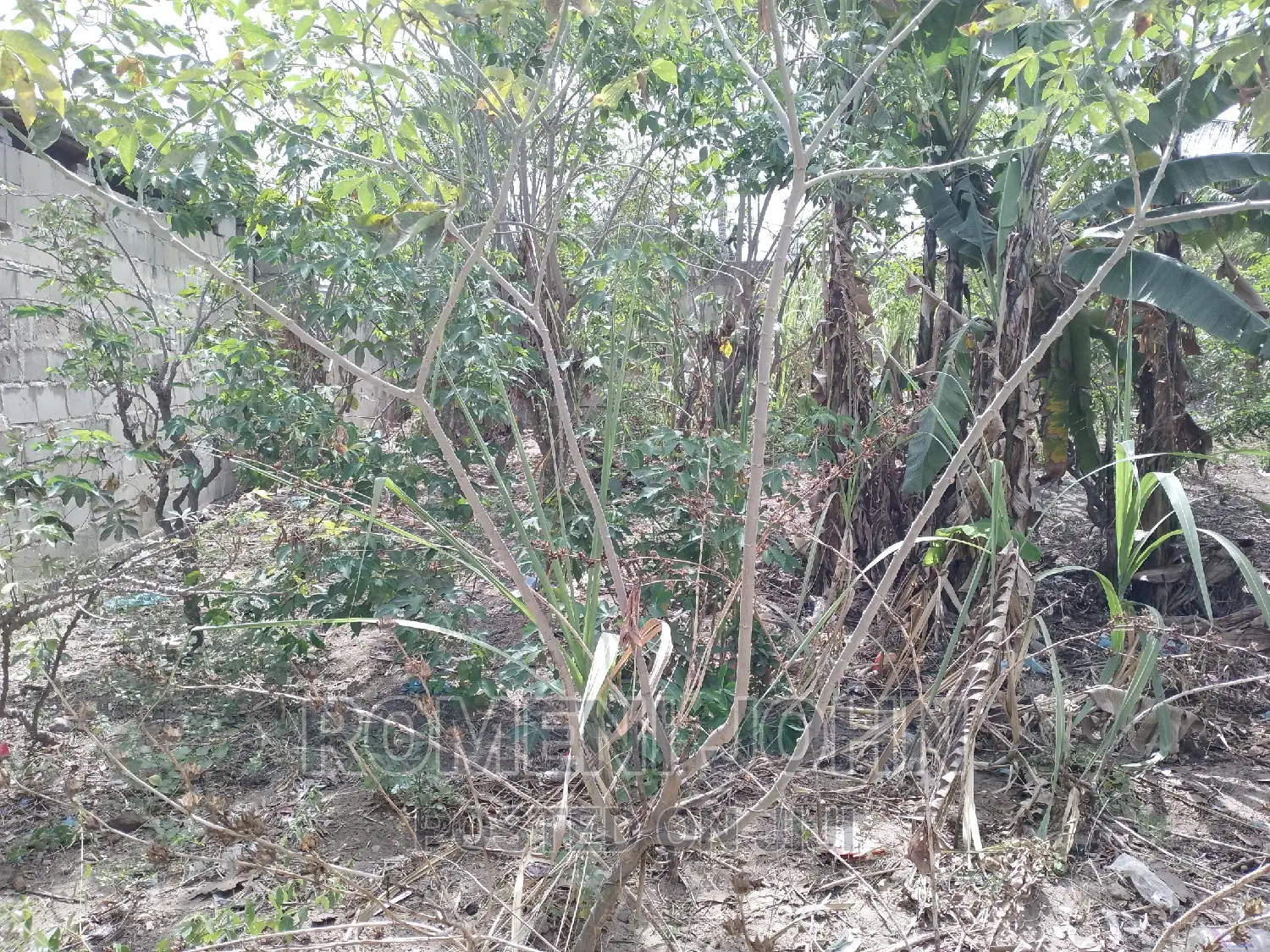 Eneo Sqmita 500 La Kibiashara Linauzwa Mil 18.5 Majohe Rada. in Ilala