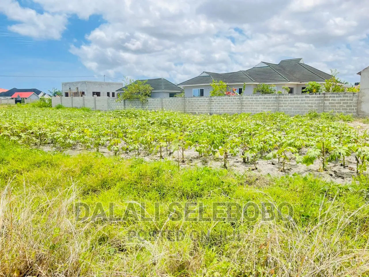 Plot Sale at Kigamboni Kibada  in Kigamboni
