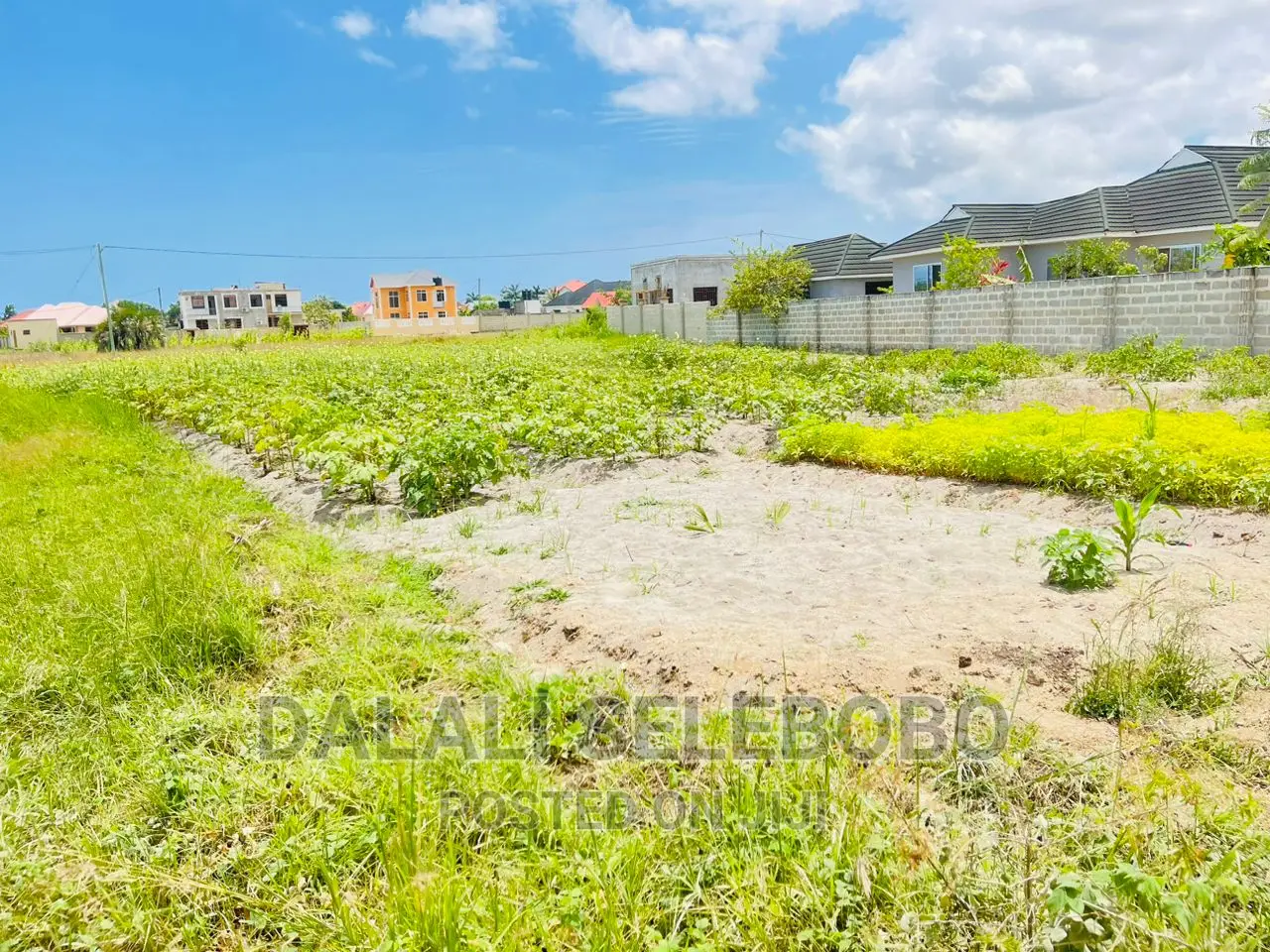 Plot Sale at Kigamboni Kibada  in Kigamboni