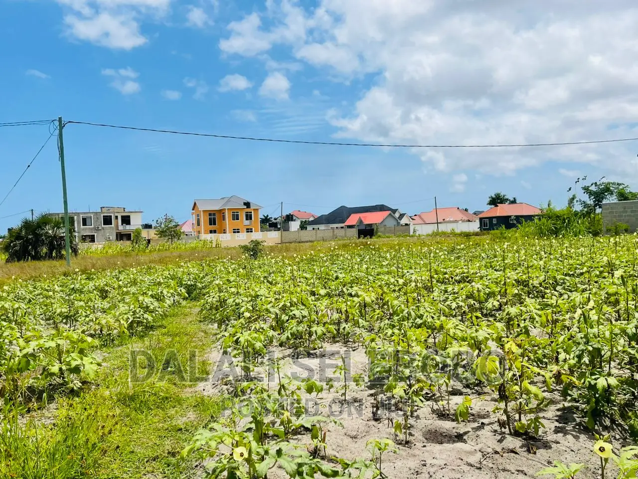 Plot Sale at Kigamboni Kibada  in Kigamboni