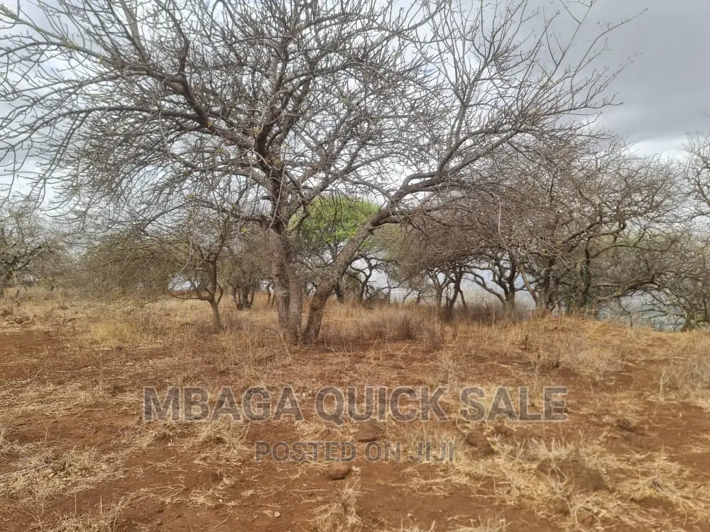 Plot for Sale at Manyara, Located at Tarangile National Par in Singe