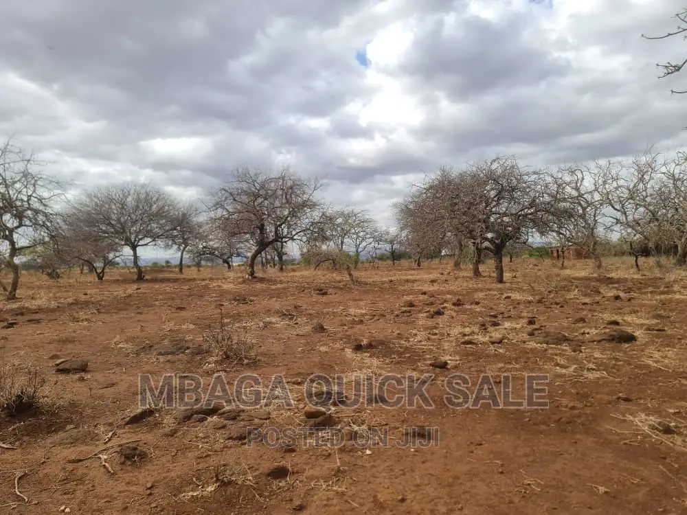 Plot for Sale at Manyara, Located at Tarangile National Par in Singe
